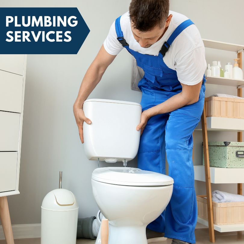 Plumbing Company in Cygnet, OH